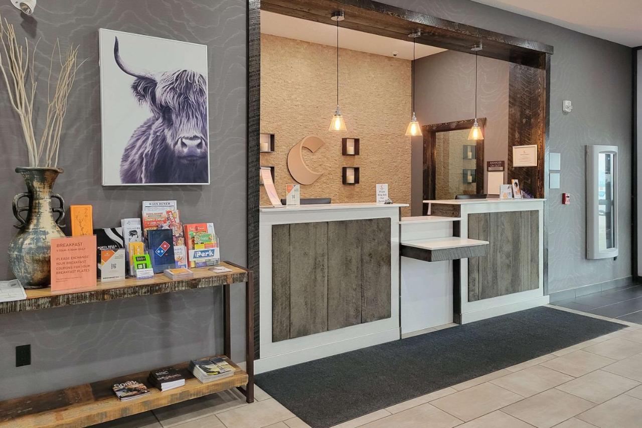 Comfort Inn & Suites North Battleford Εξωτερικό φωτογραφία