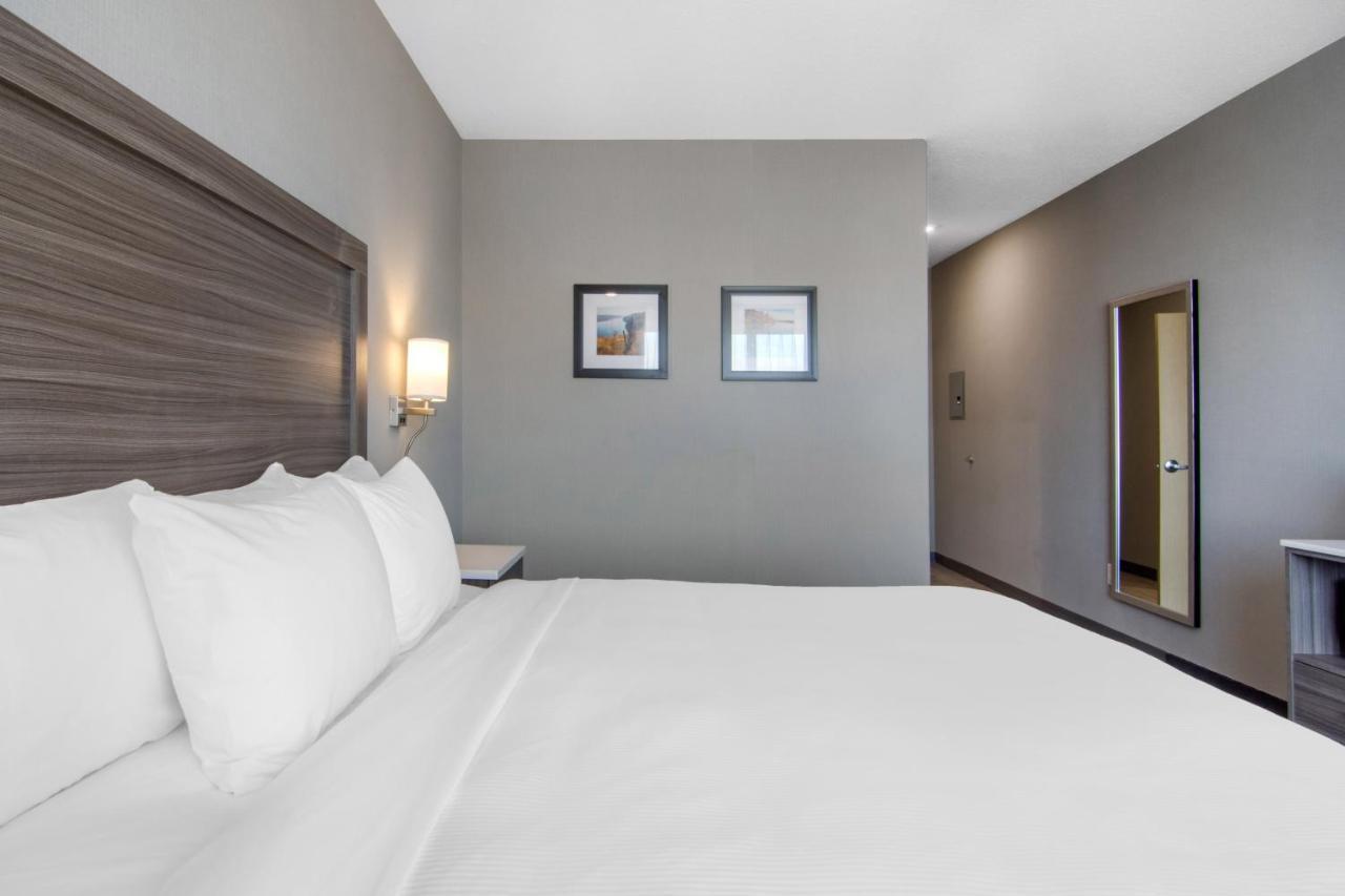 Comfort Inn & Suites North Battleford Εξωτερικό φωτογραφία