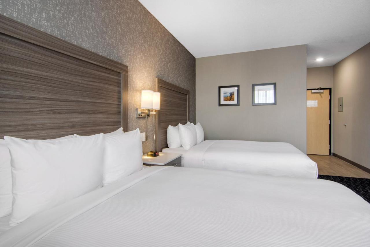 Comfort Inn & Suites North Battleford Εξωτερικό φωτογραφία